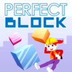 Perfect Block