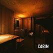 Cabin Horror